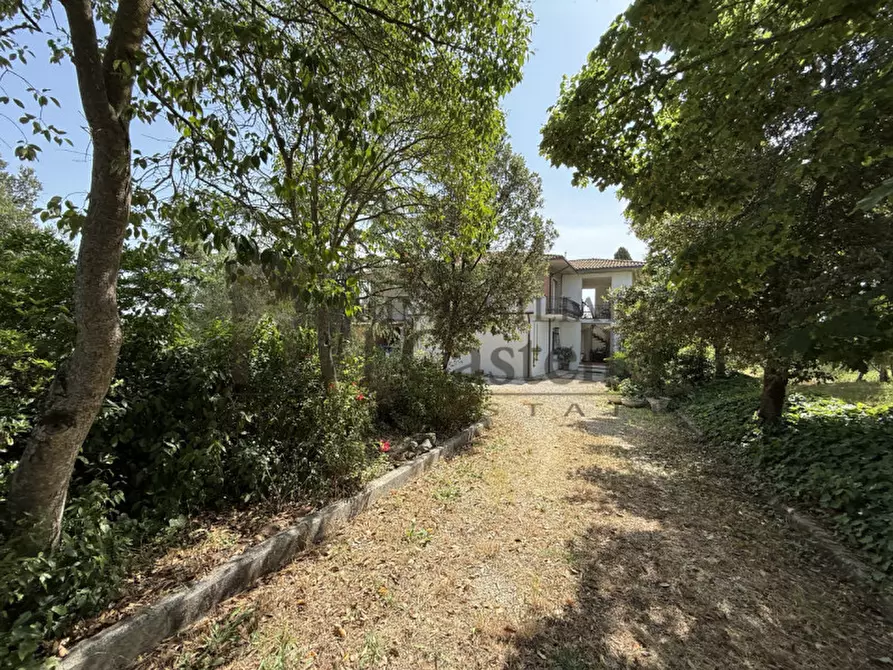 Immagine 42 di Casa indipendente in vendita  in Via Castiglionese a Paciano