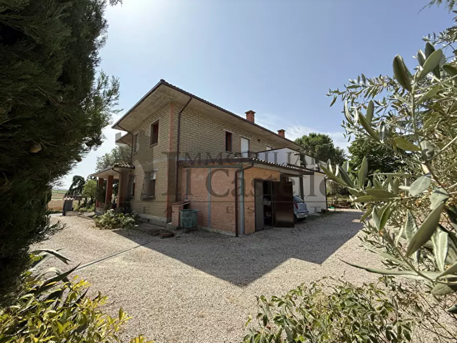 Immagine 45 di Casa indipendente in vendita  in Via Castiglionese a Paciano