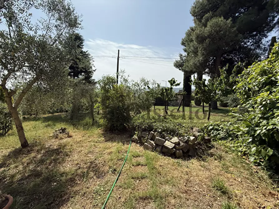 Immagine 50 di Casa indipendente in vendita  in Via Castiglionese a Paciano