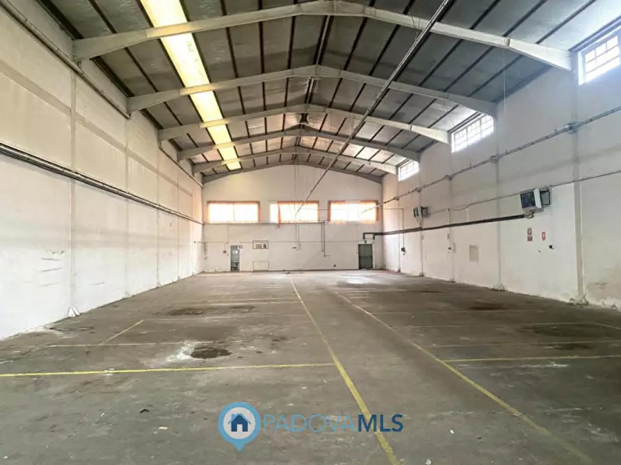 Immagine 4 di Capannone industriale in vendita  in Via Pitagora 12 a Rubano