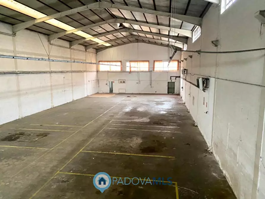 Immagine 5 di Capannone industriale in vendita  in Via Pitagora 12 a Rubano