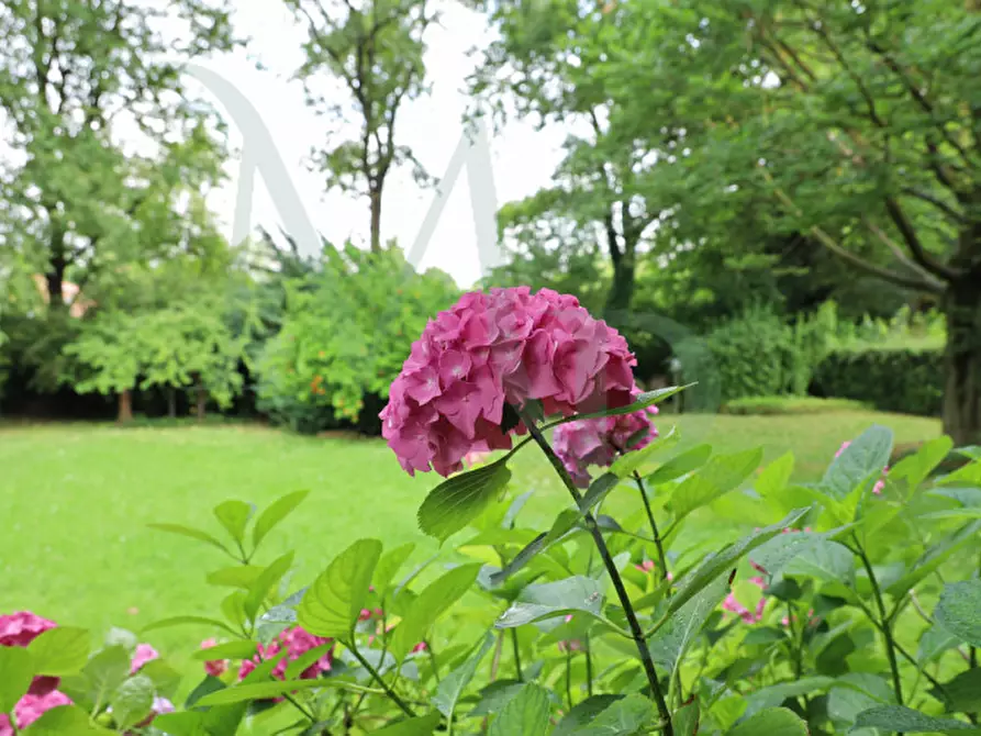 Immagine 1 di Villa in vendita  a Padova