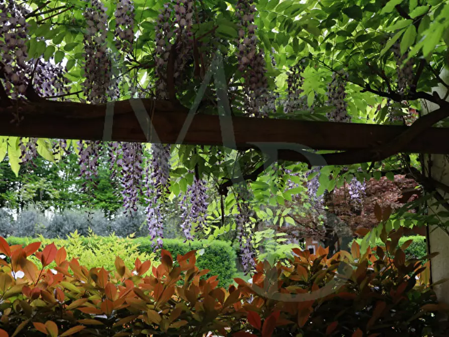 Immagine 2 di Villa in vendita  a Padova