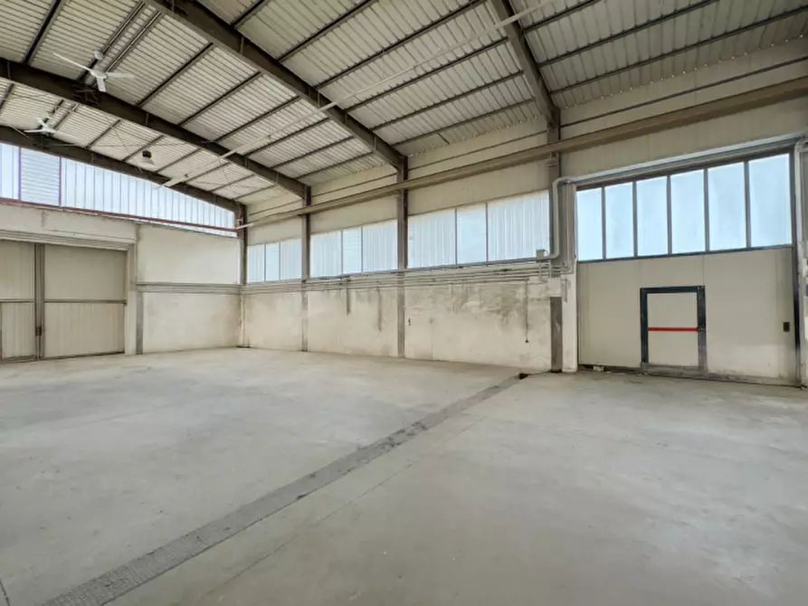 Immagine 4 di Capannone industriale in vendita  in Via Enrico Fermi a Selvazzano Dentro