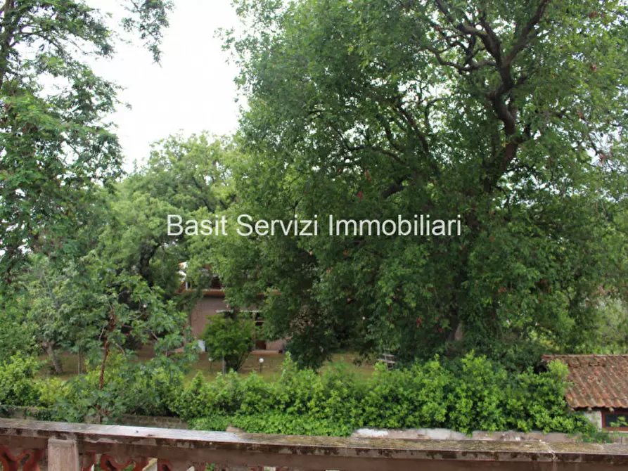 Immagine 24 di Appartamento in vendita  in Via Piave a Pomezia