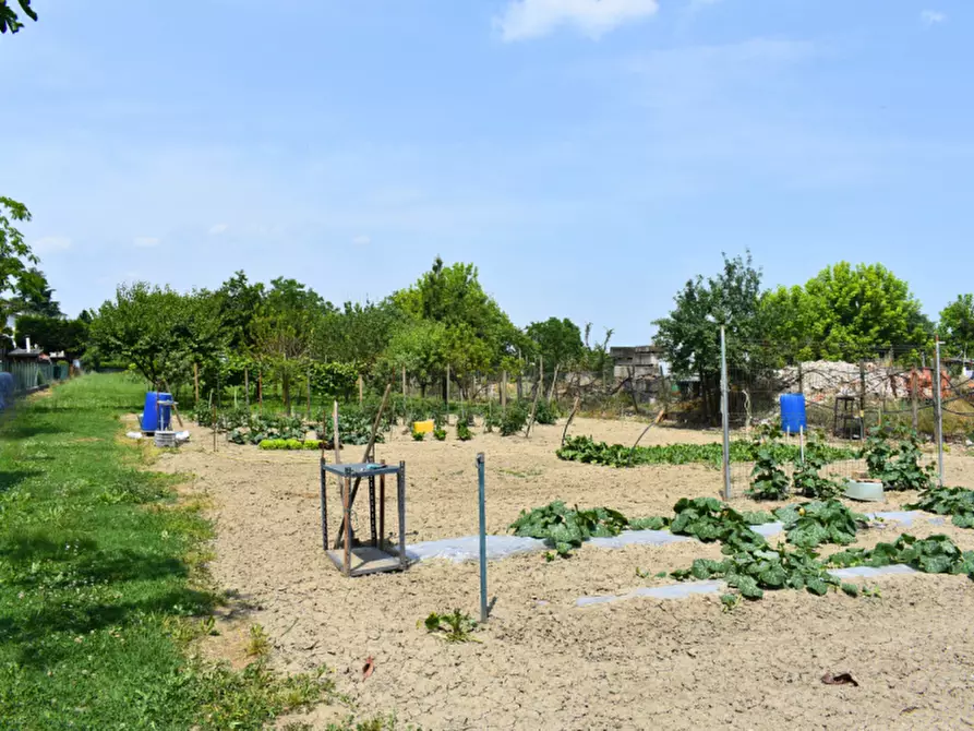 Immagine 18 di Villetta a schiera in vendita  in via Della chiesa a Brescello
