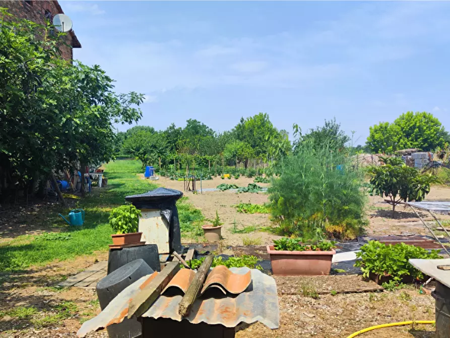 Immagine 19 di Villetta a schiera in vendita  in via Della chiesa a Brescello