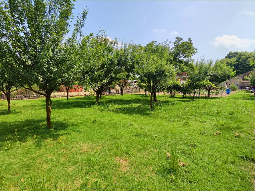 Immagine 27 di Villetta a schiera in vendita  in via Della chiesa a Brescello