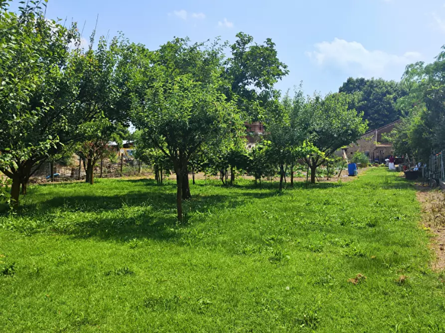 Immagine 28 di Villetta a schiera in vendita  in via Della chiesa a Brescello