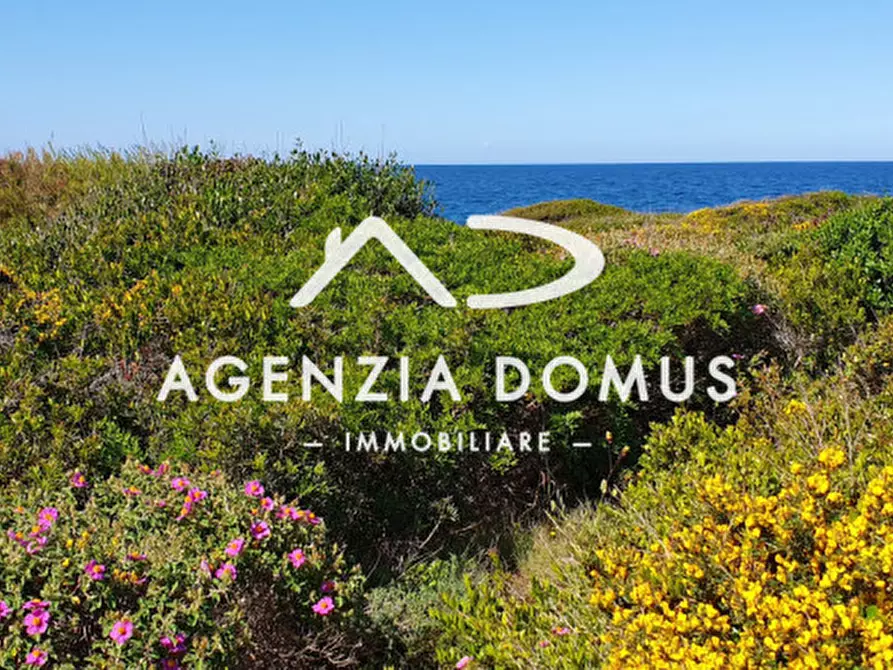 Immagine 6 di Casa indipendente in vendita  in Corso Annibale 322 a Ugento