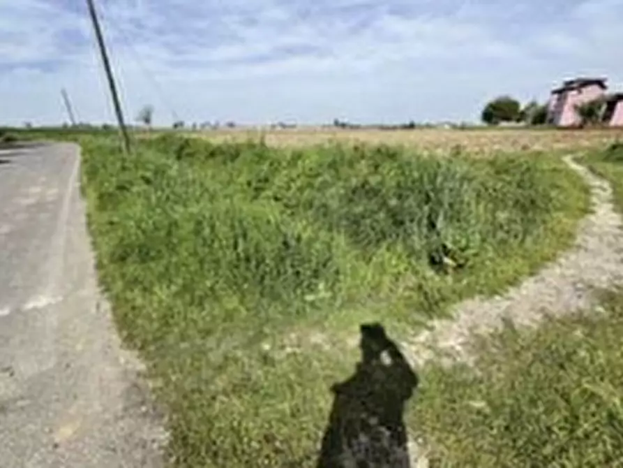 Immagine 2 di Terreno in vendita  in VIA CASOTTI a Nogara