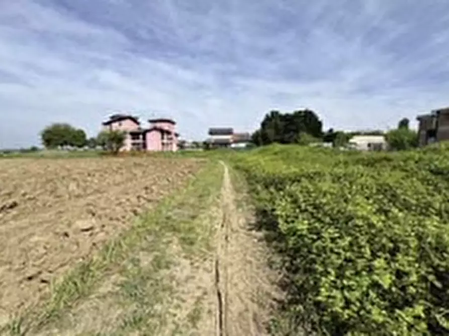 Immagine 3 di Terreno in vendita  in VIA CASOTTI a Nogara