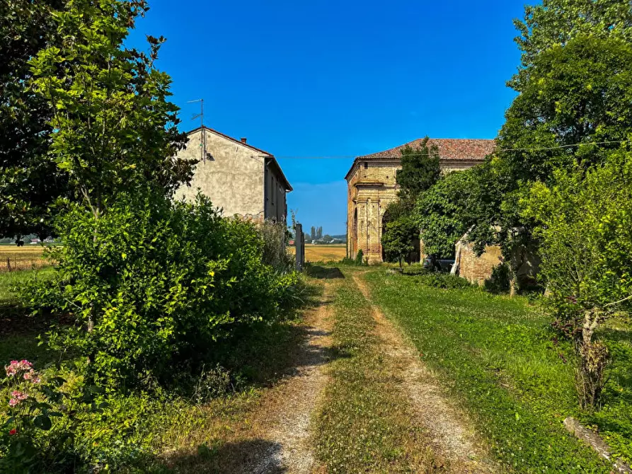 Immagine 8 di Casa indipendente in vendita  in via preare a Baone