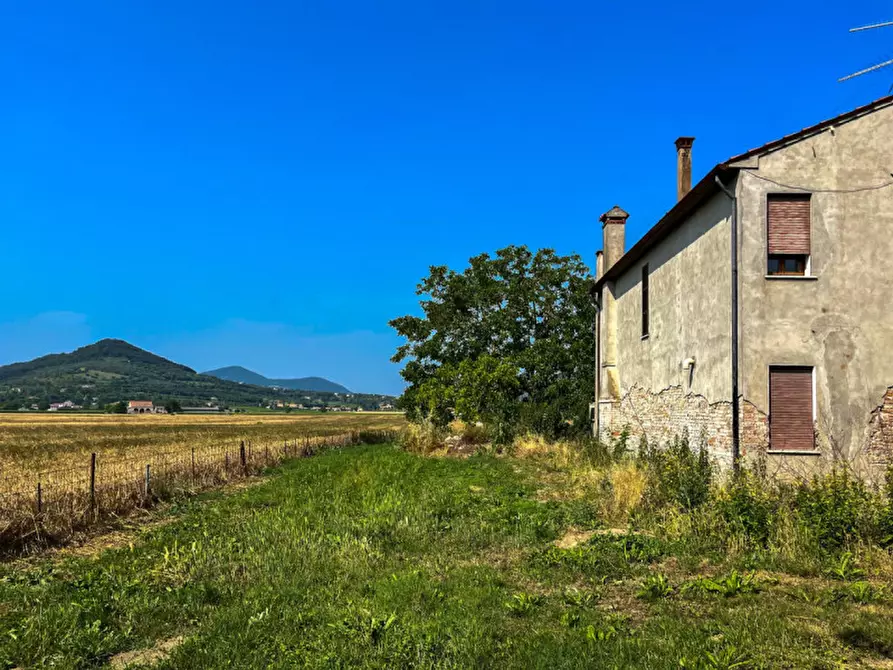 Immagine 10 di Casa indipendente in vendita  in via preare a Baone