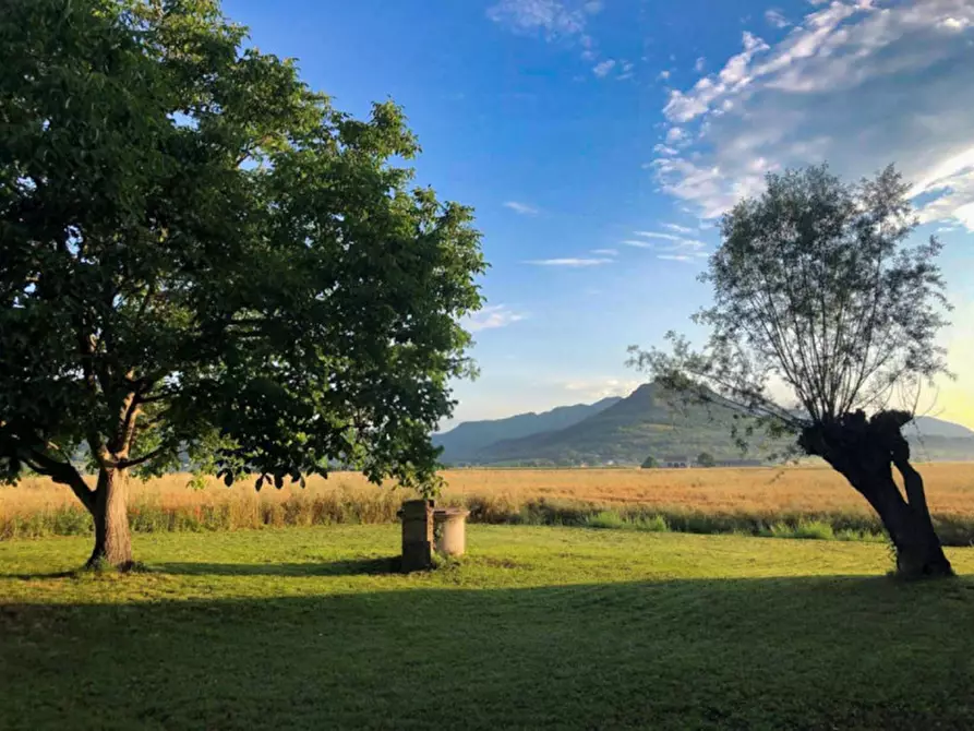 Immagine 18 di Casa indipendente in vendita  in via preare a Baone