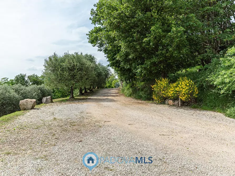 Immagine 40 di Villa in vendita  in Via Fontanelle a Arqua' Petrarca