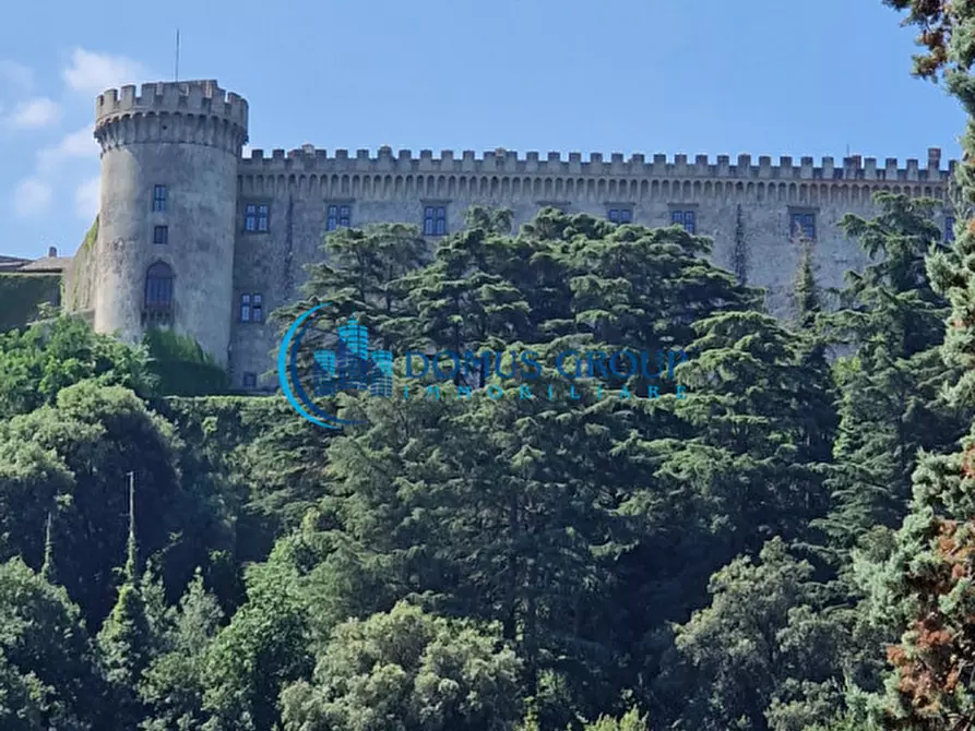 Immagine 64 di Villa in vendita  in Via del Lago a Bracciano