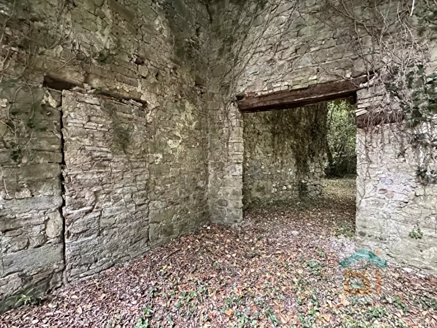 Immagine 17 di Multiproprietà in vendita  in Via della Scuola Agraria a Gorizia