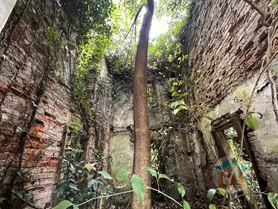 Immagine 18 di Multiproprietà in vendita  in Via della Scuola Agraria a Gorizia