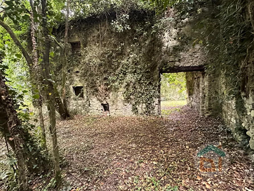 Immagine 19 di Multiproprietà in vendita  in Via della Scuola Agraria a Gorizia