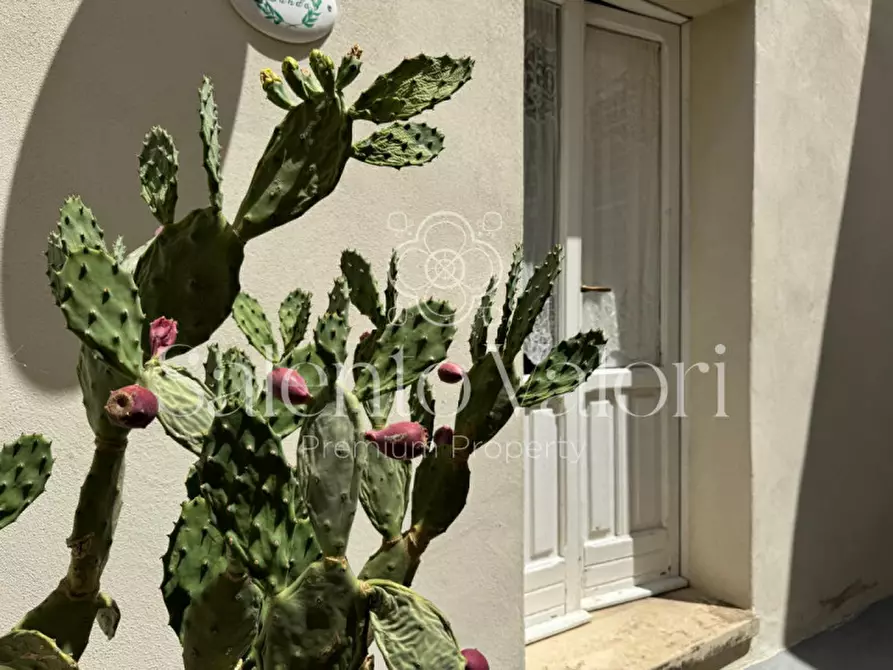 Immagine 39 di Casa indipendente in vendita  in Via Giulio Cesare Vanini 3° Vico 12 a Ruffano