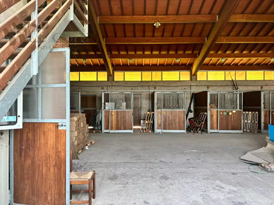 Immagine 3 di Attività commerciale in vendita  a San Bonifacio