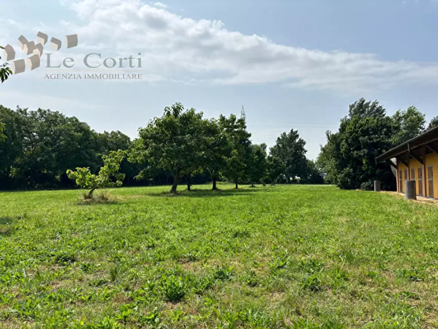 Immagine 4 di Attività commerciale in vendita  a San Bonifacio