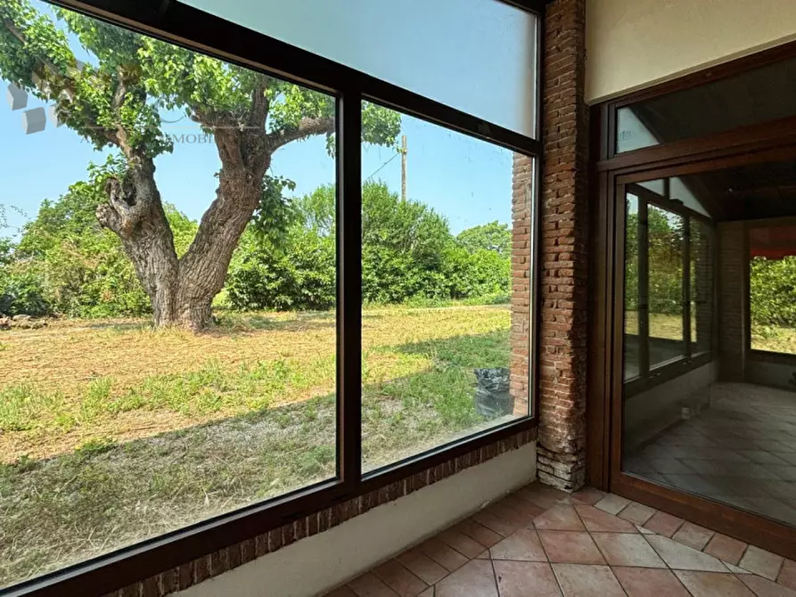 Immagine 16 di Attività commerciale in vendita  a San Bonifacio