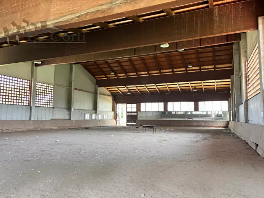 Immagine 19 di Attività commerciale in vendita  a San Bonifacio