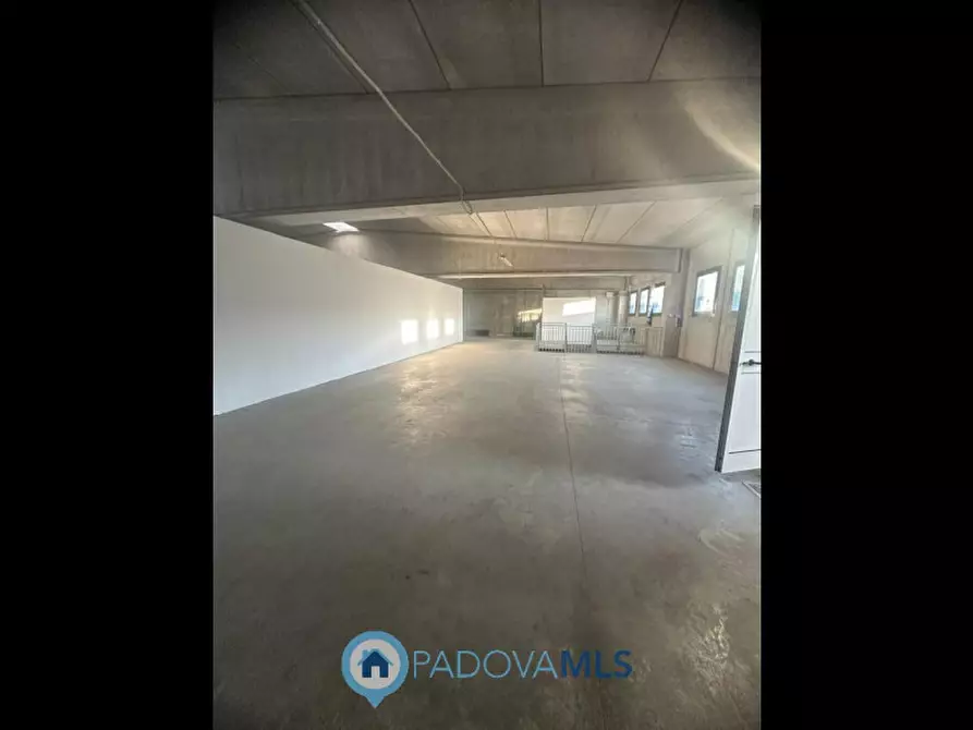 Immagine 29 di Casa indipendente in vendita  in Viale Europa a Ponte San Nicolò