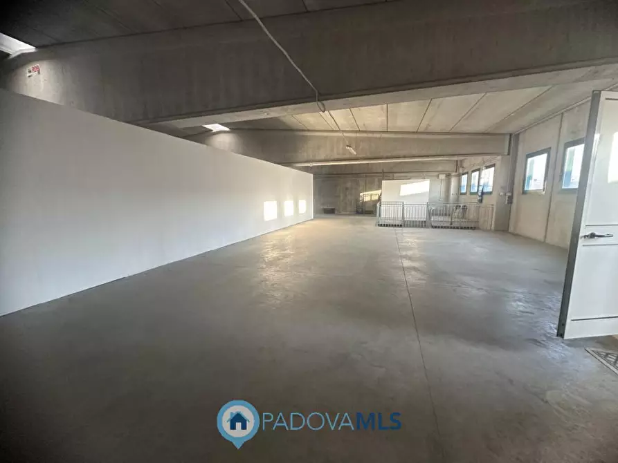 Immagine 30 di Casa indipendente in vendita  in Viale Europa a Ponte San Nicolò