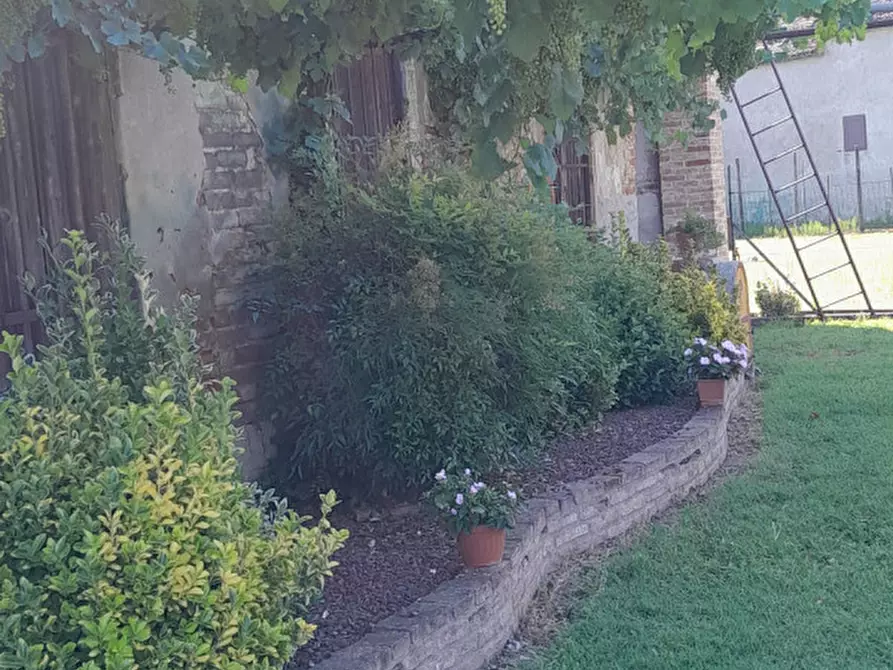 Immagine 18 di Rustico / casale in vendita  in Via Fontanelle n.59 a Montegaldella