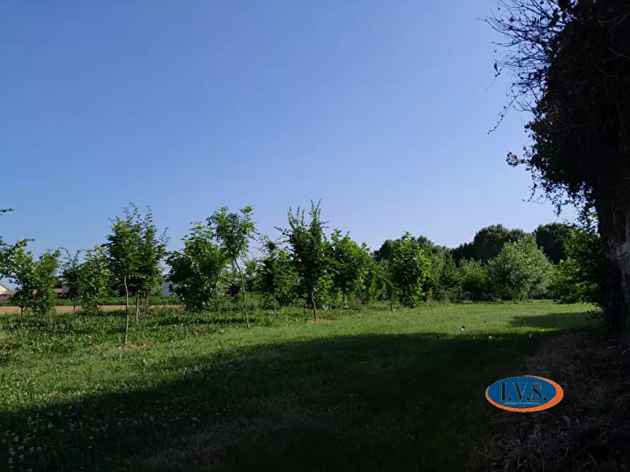 Immagine 32 di Rustico / casale in vendita  in Via Fontanelle n.59 a Montegaldella