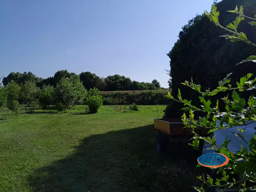 Immagine 34 di Rustico / casale in vendita  in Via Fontanelle n.59 a Montegaldella