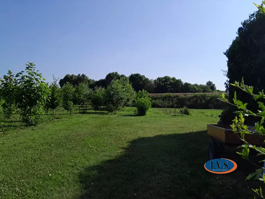 Immagine 35 di Rustico / casale in vendita  in Via Fontanelle n.59 a Montegaldella