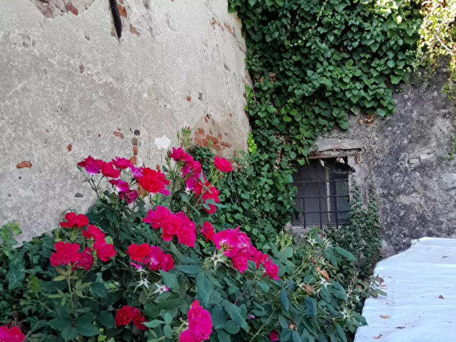 Immagine 36 di Rustico / casale in vendita  in Via Fontanelle n.59 a Montegaldella