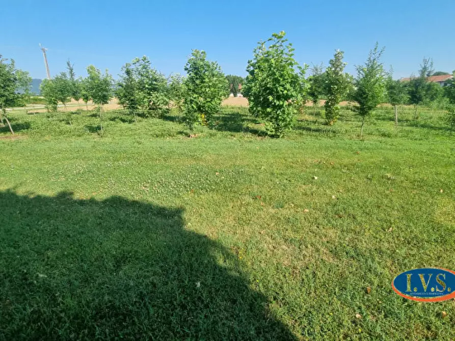 Immagine 39 di Rustico / casale in vendita  in Via Fontanelle n.59 a Montegaldella