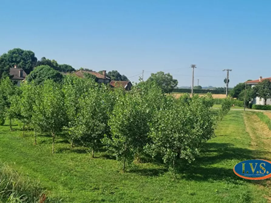 Immagine 49 di Rustico / casale in vendita  in Via Fontanelle n.59 a Montegaldella