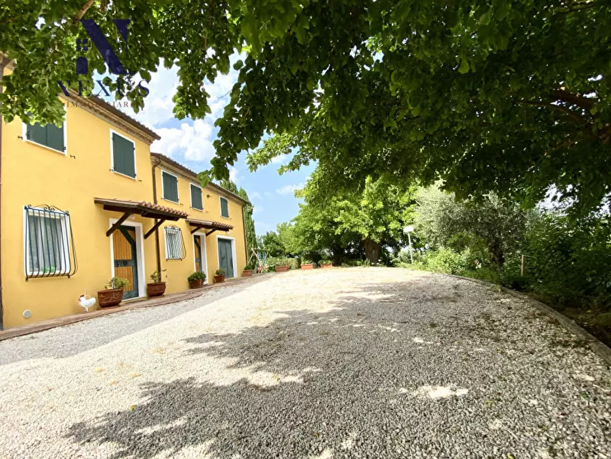 Immagine 11 di Villa in vendita  a Colli Al Metauro