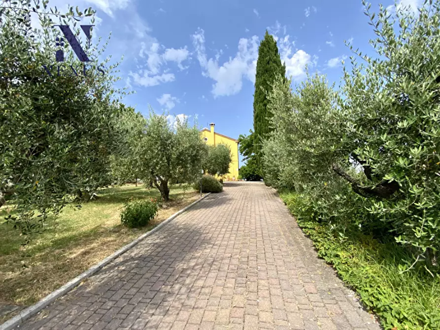 Immagine 16 di Villa in vendita  a Colli Al Metauro