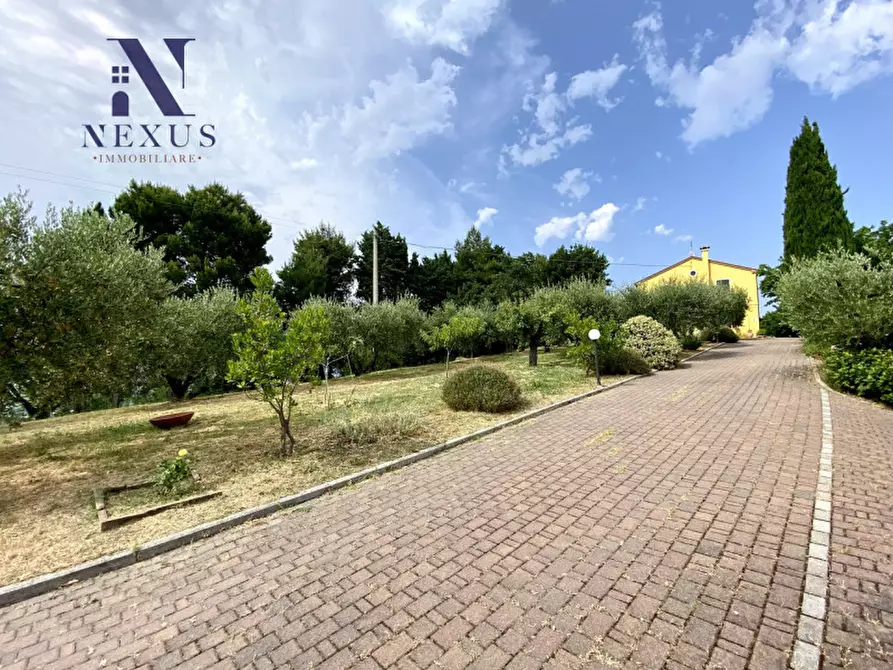 Immagine 17 di Villa in vendita  a Colli Al Metauro
