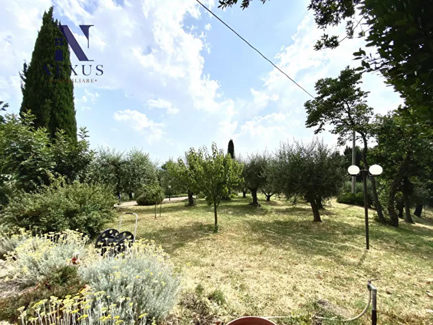 Immagine 19 di Villa in vendita  a Colli Al Metauro