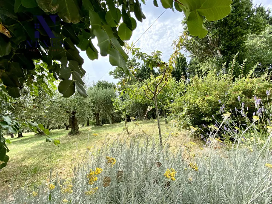 Immagine 20 di Villa in vendita  a Colli Al Metauro