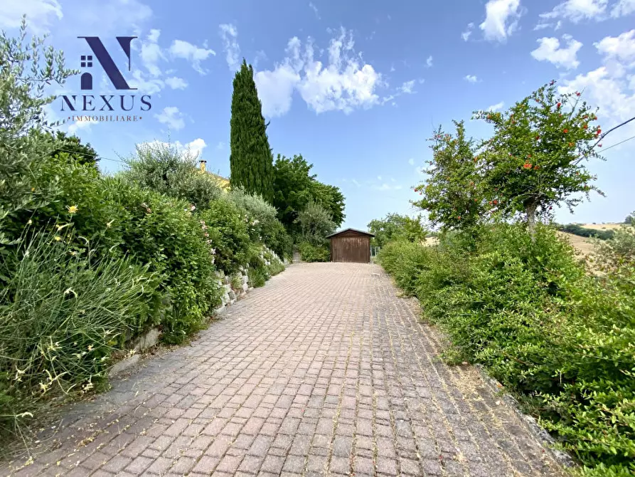 Immagine 21 di Villa in vendita  a Colli Al Metauro
