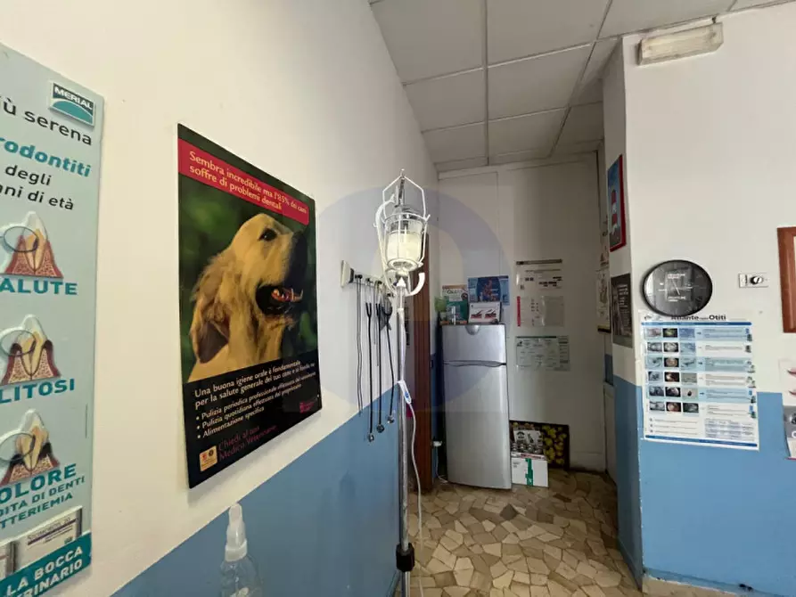 Immagine 2 di Negozio in vendita  in Via Pietro Mascagni a Vicenza