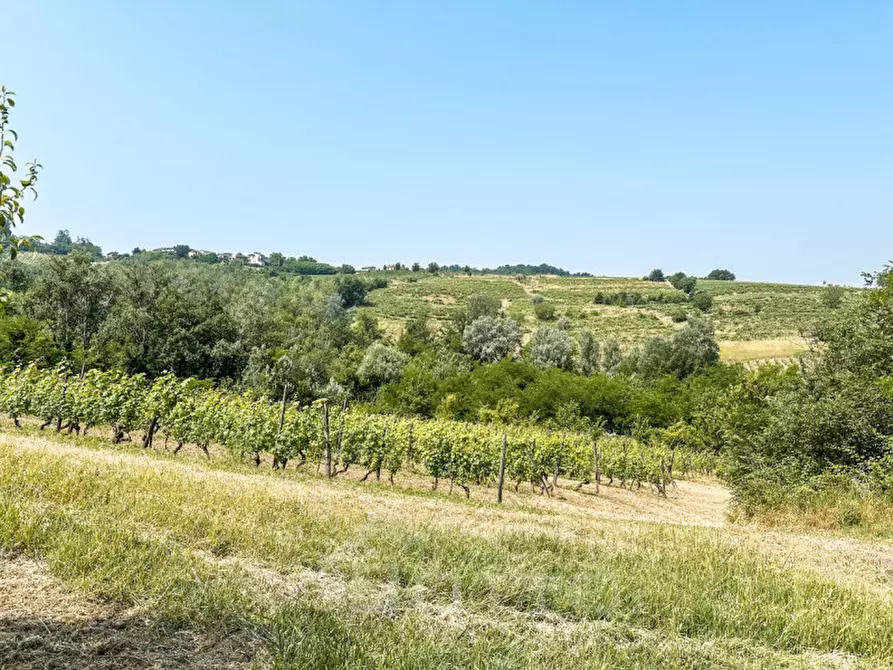 Immagine 34 di Villa in vendita  in Frazione Casareggio a Monleale