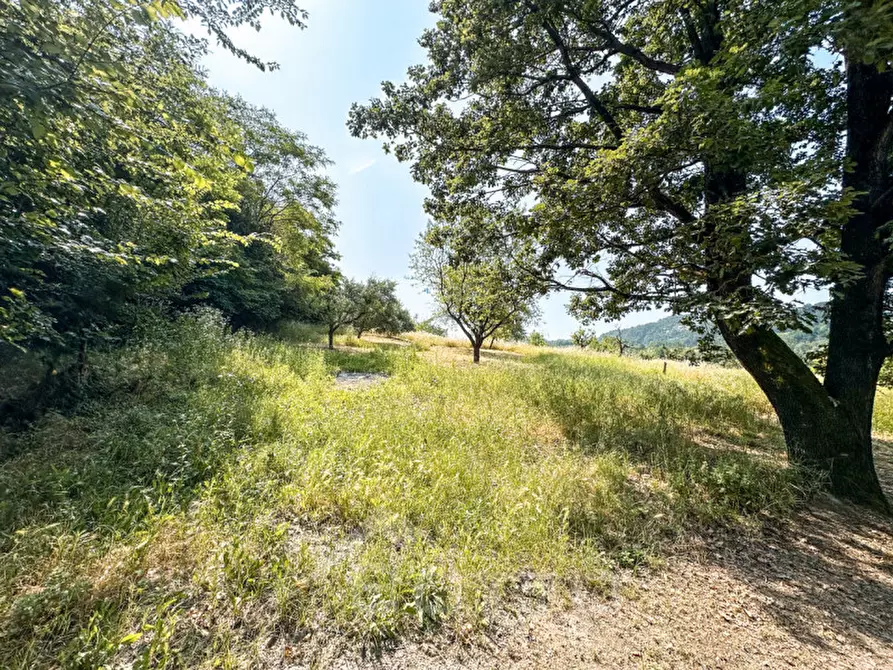 Immagine 35 di Villa in vendita  in Frazione Casareggio a Monleale