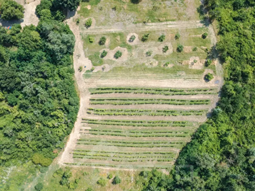 Immagine 51 di Villa in vendita  in Frazione Casareggio a Monleale