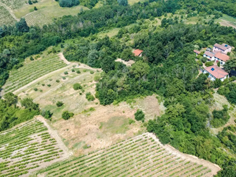 Immagine 53 di Villa in vendita  in Frazione Casareggio a Monleale
