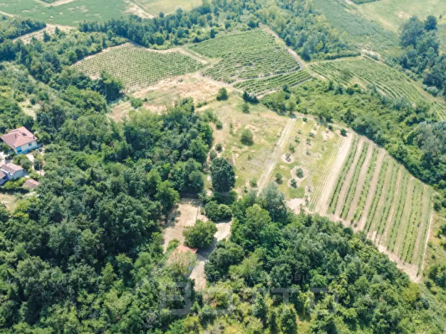 Immagine 54 di Villa in vendita  in Frazione Casareggio a Monleale